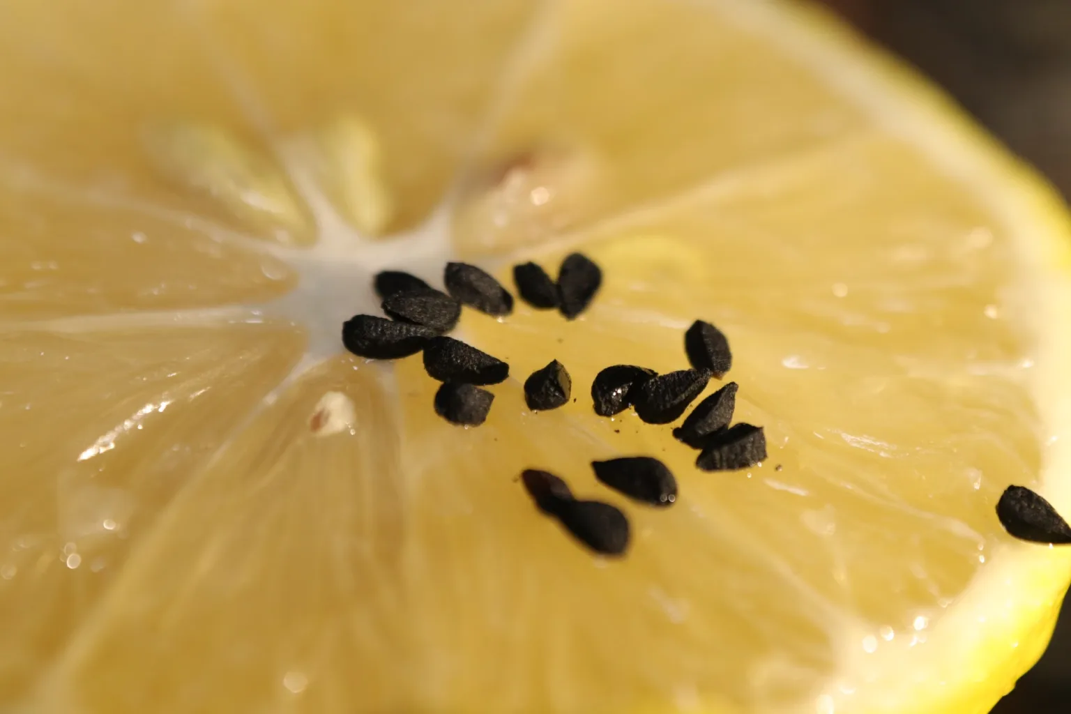 Nigella seeds