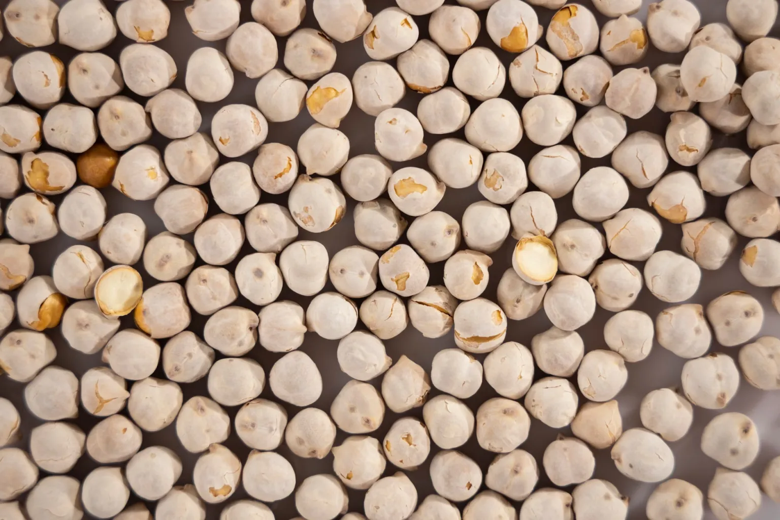 Haricots blancs secs