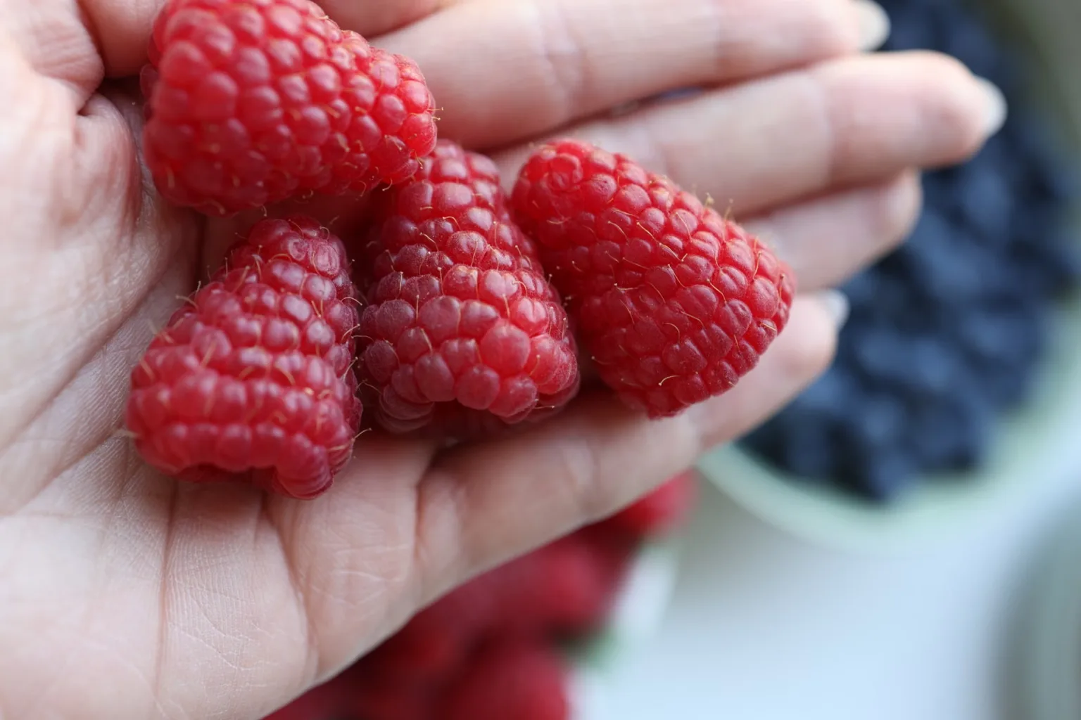 Fresh raspberries