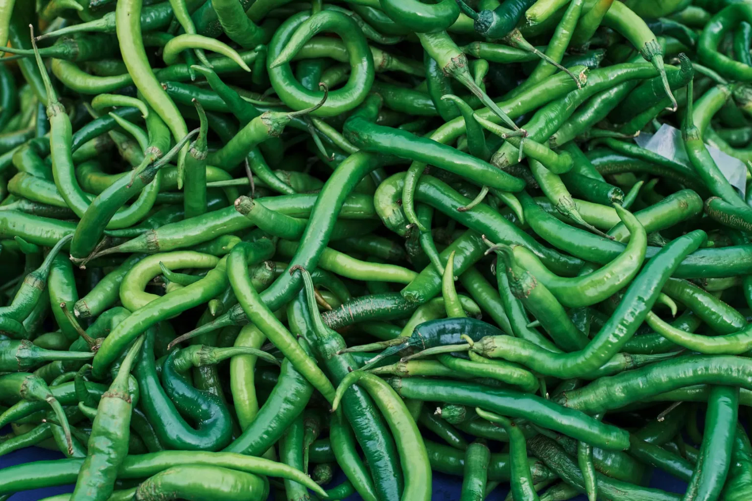 Chilies