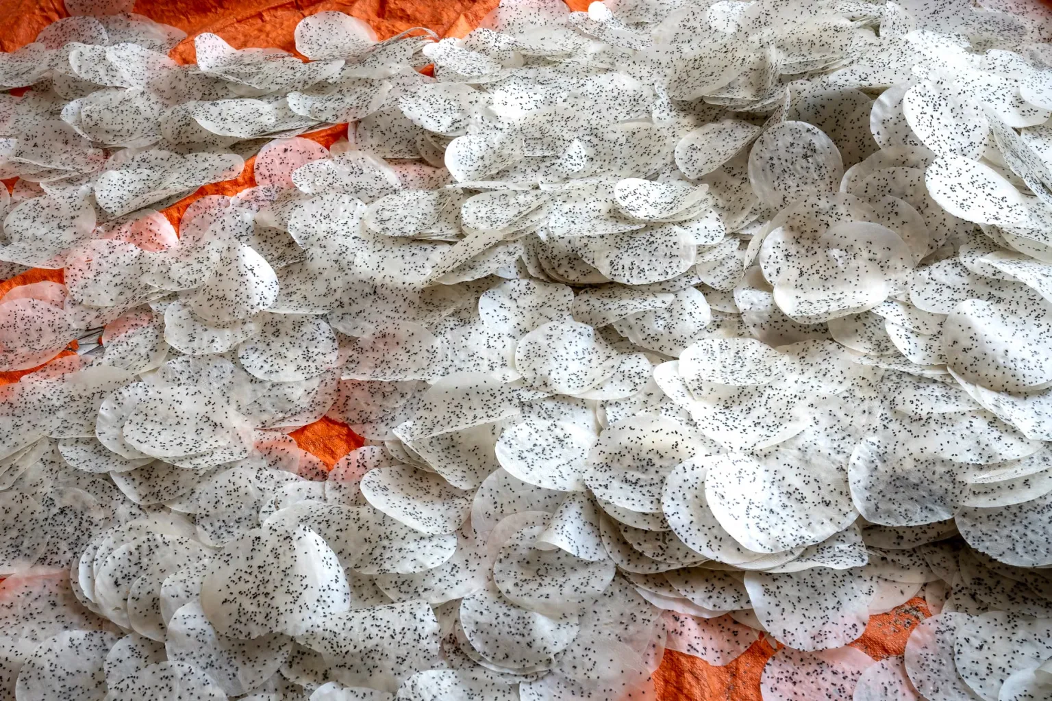 Bomba-style round rice
