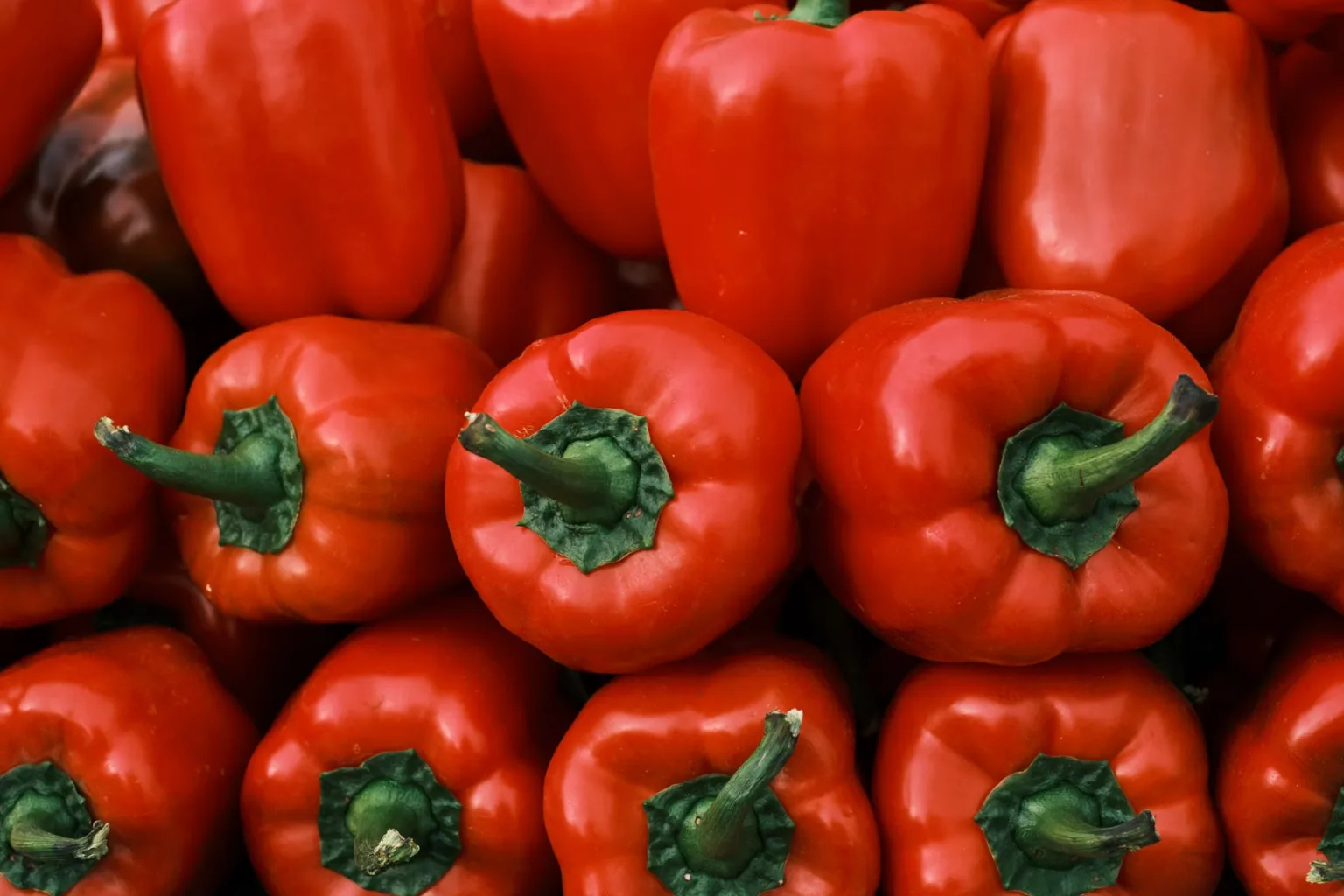 Canned piquillo pepper