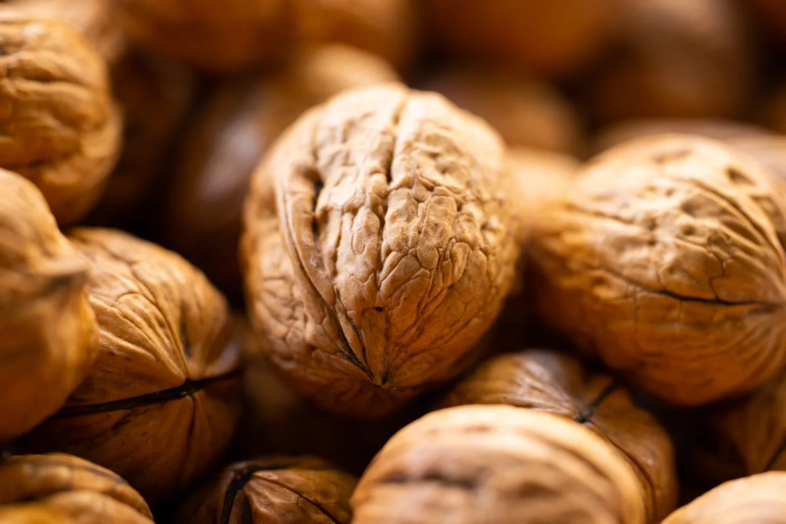 Shelled walnuts