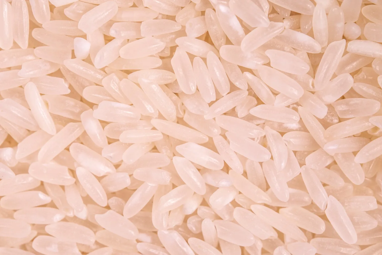 Arroz blanco