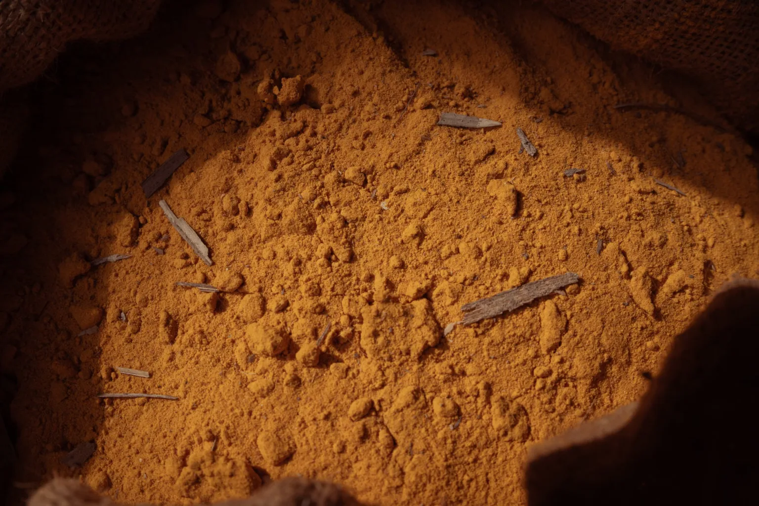 Curcuma moulu