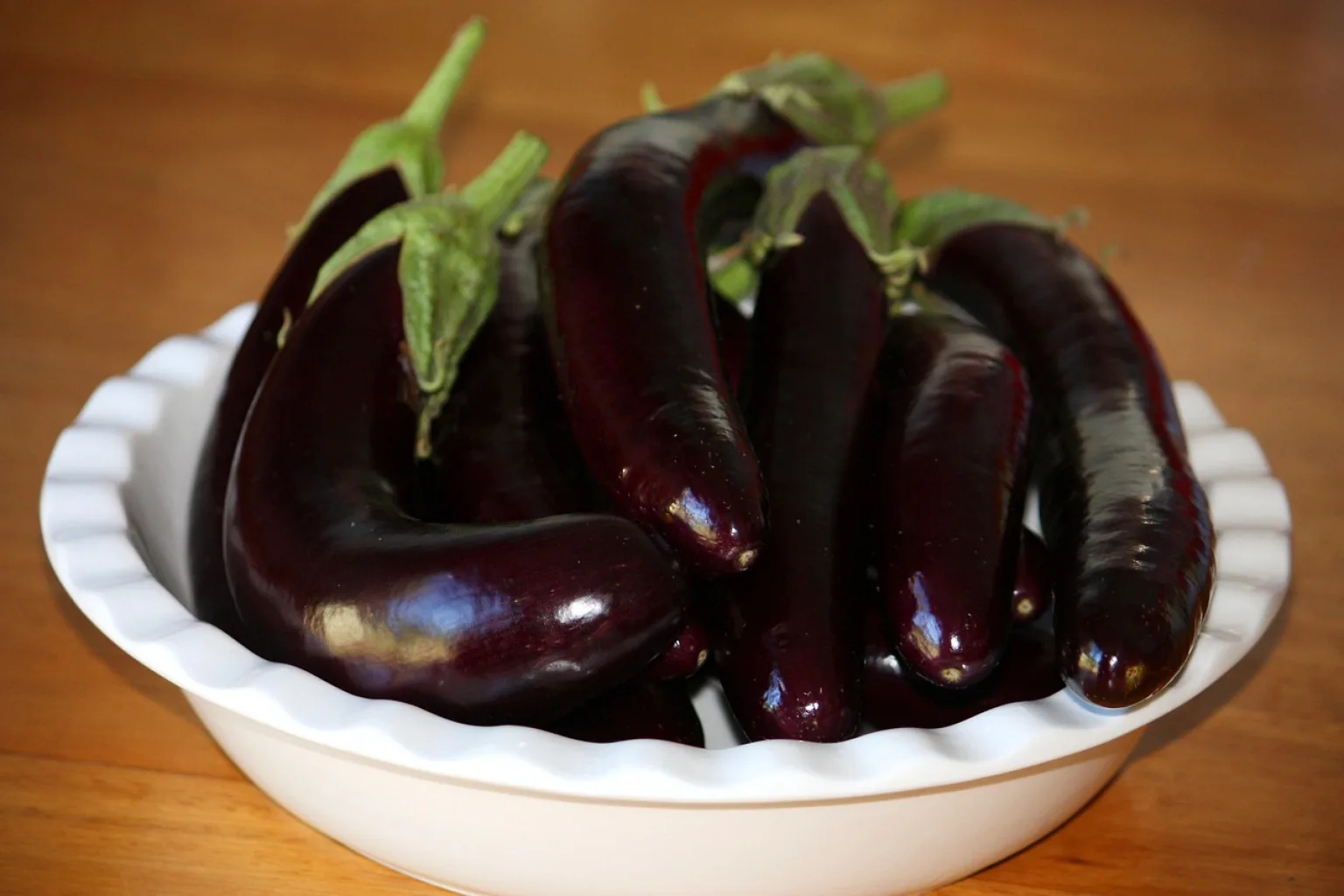 Berinjela