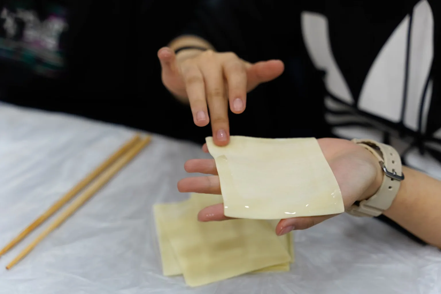 Folhas para wonton