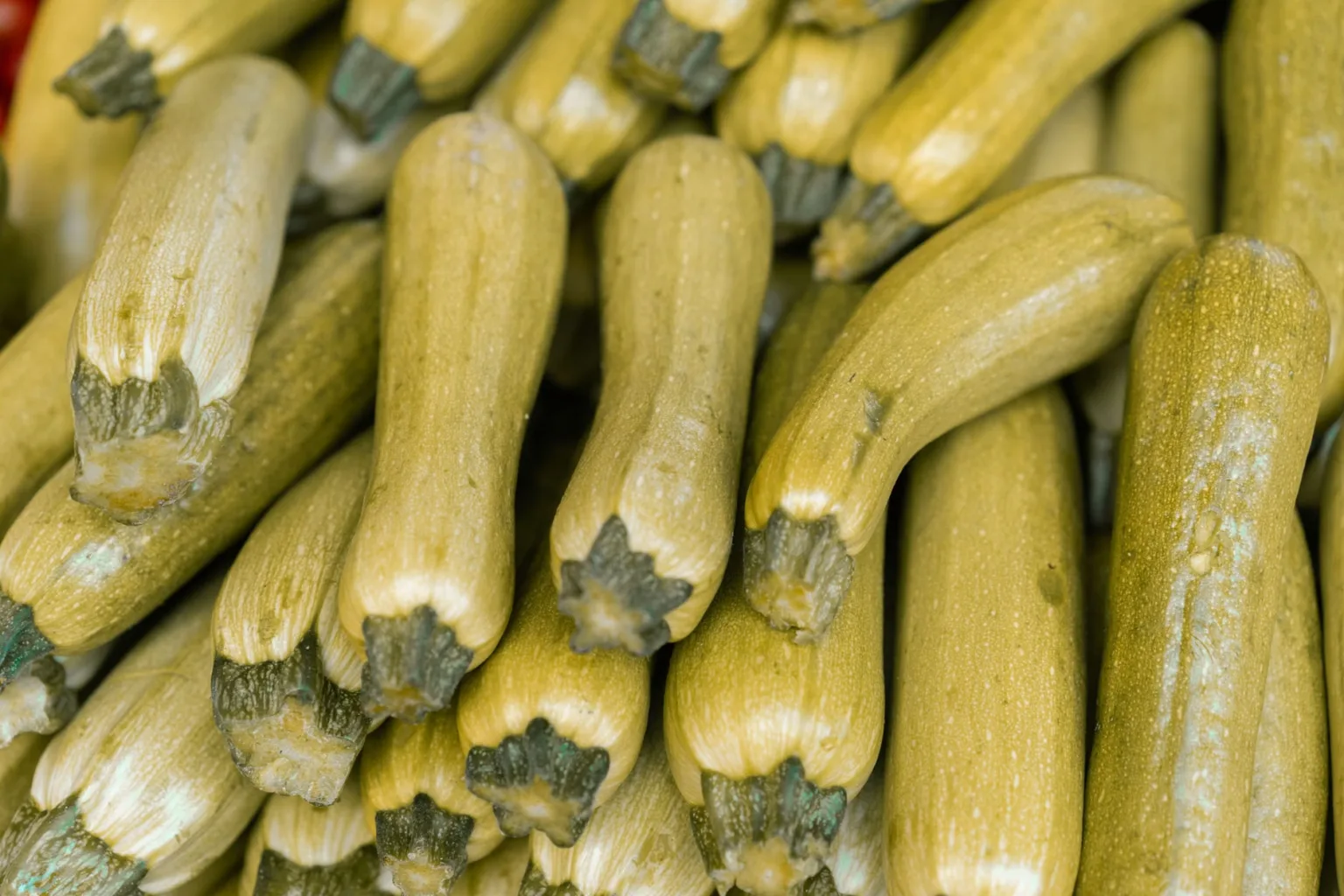 Courgettes