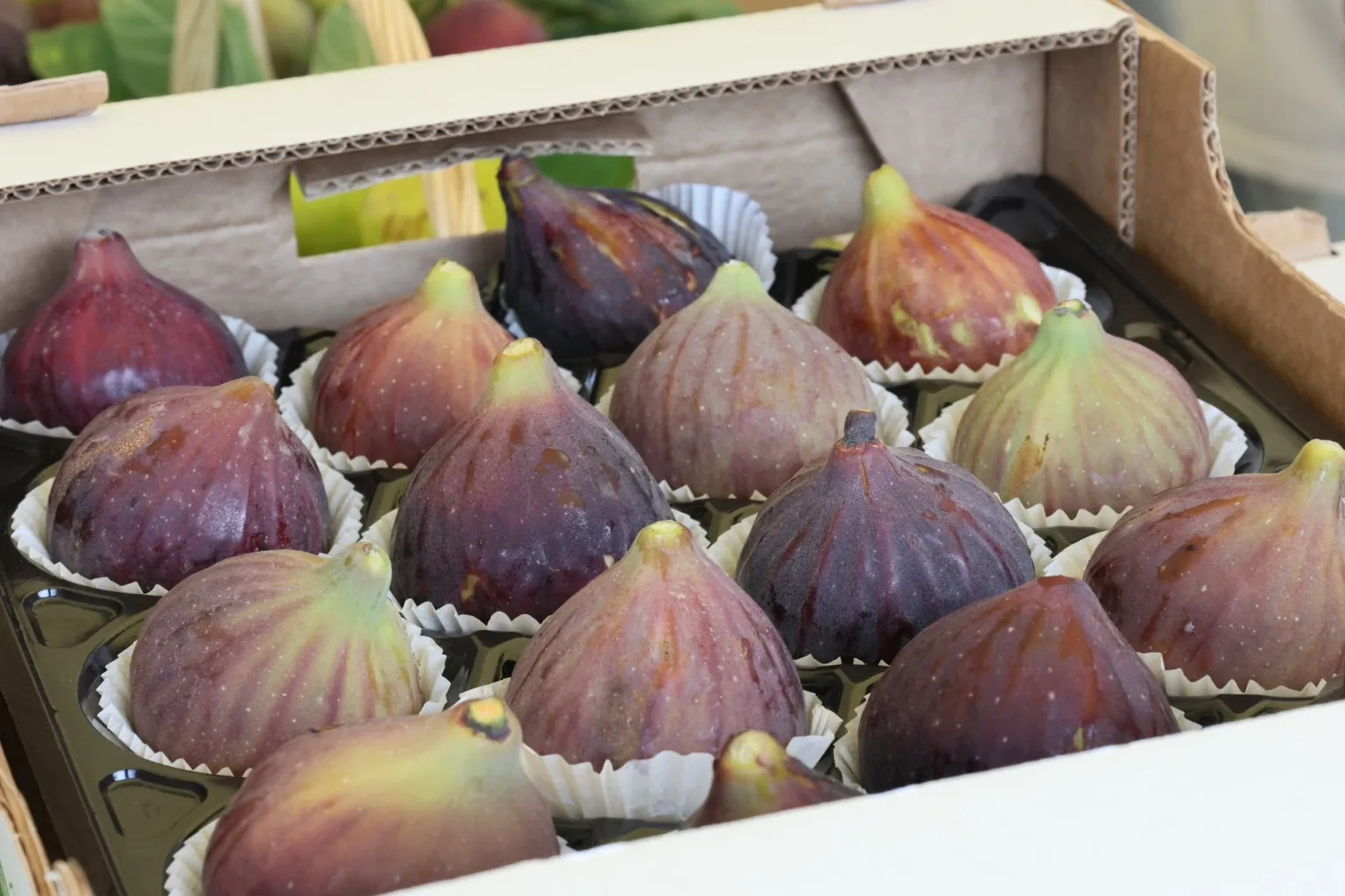 Frische Feigen