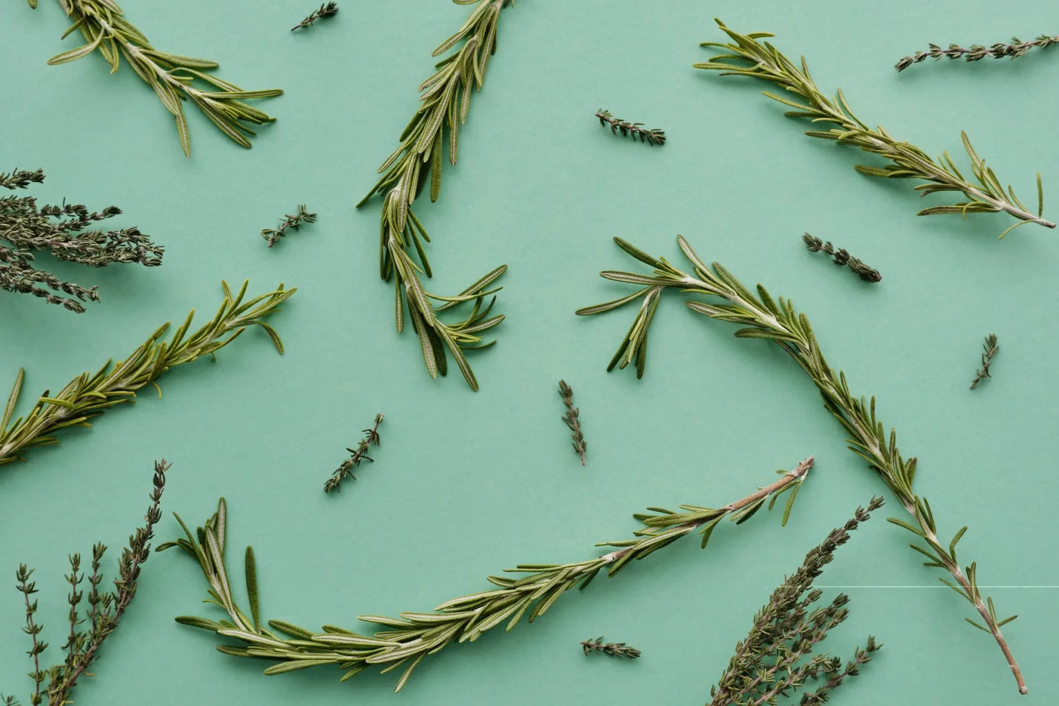 Thyme