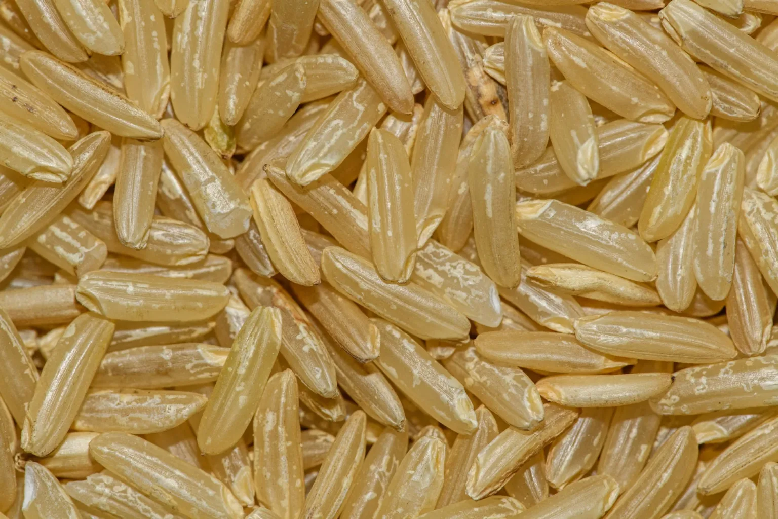 Gekochter Vollkornreis