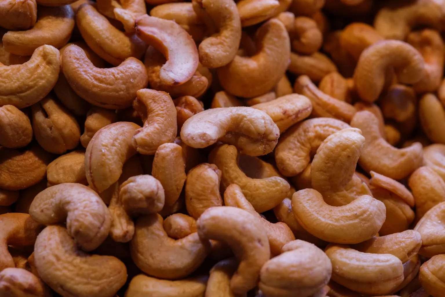 Anacardi
