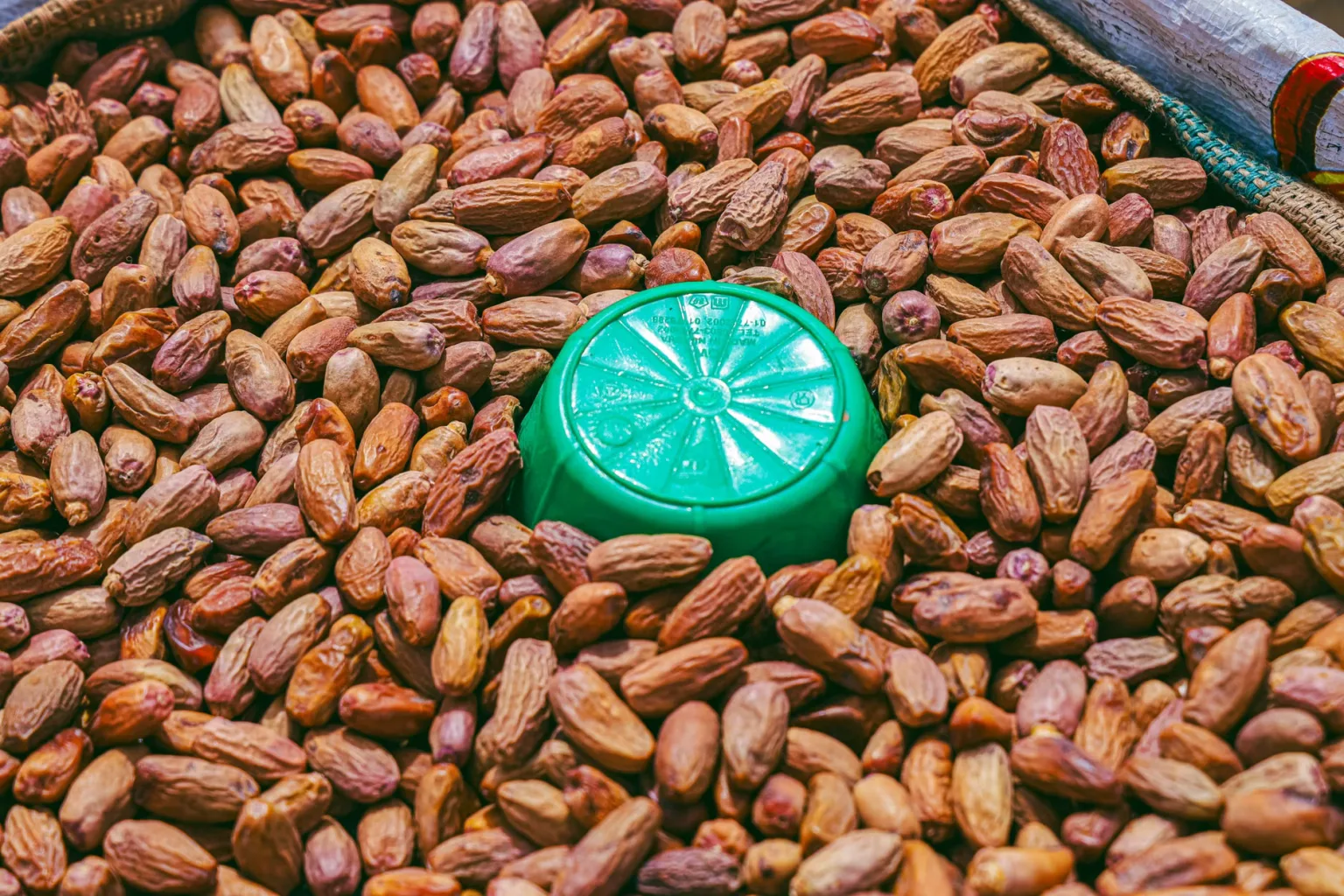 Date-palm jaggery