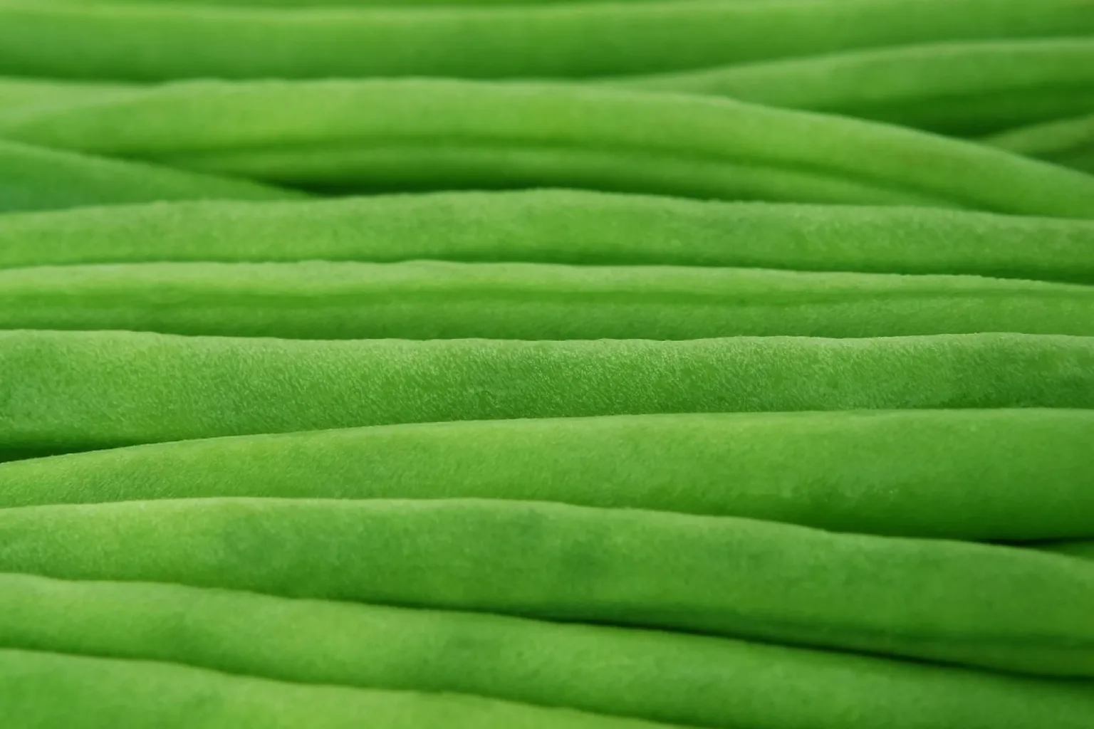 Haricots verts