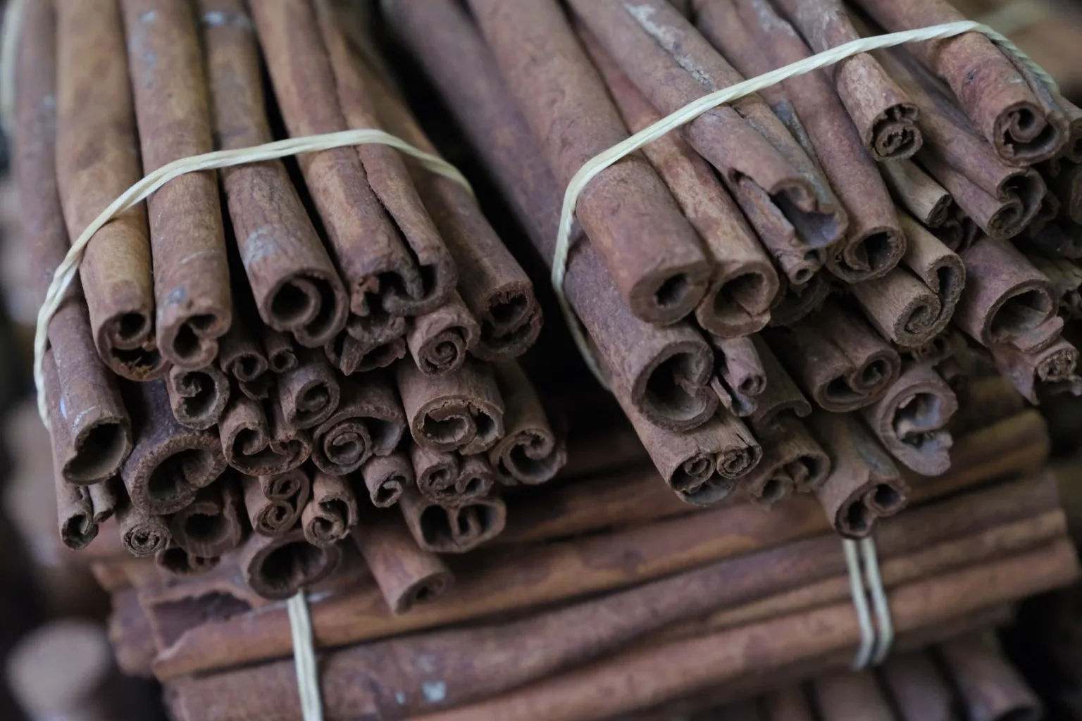 Cinnamon stick