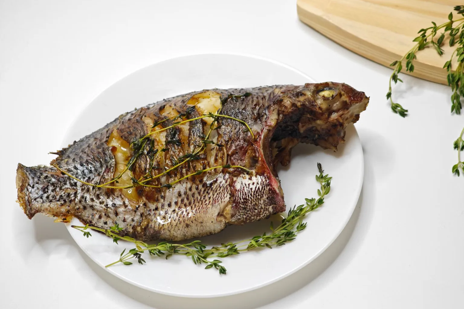 Tilapia intera