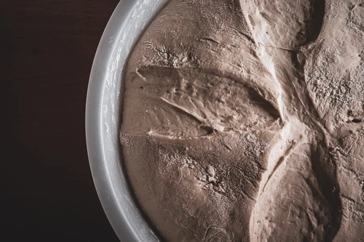 Fermented corn dough