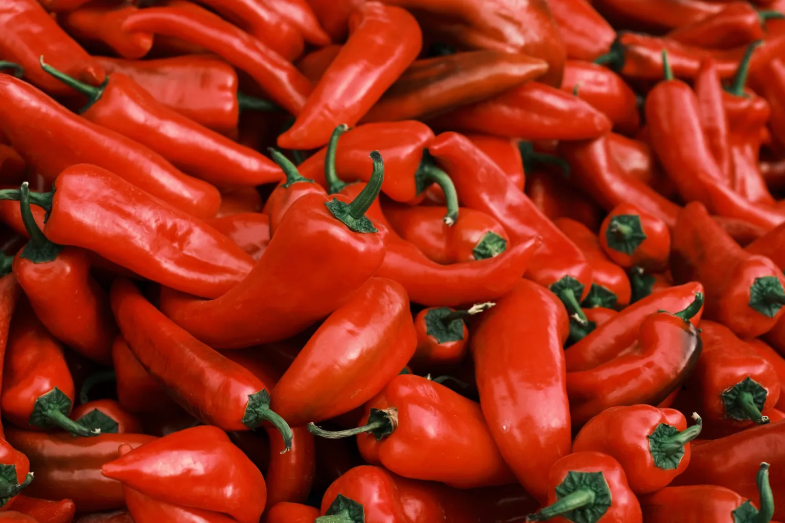 Rote Chilischoten