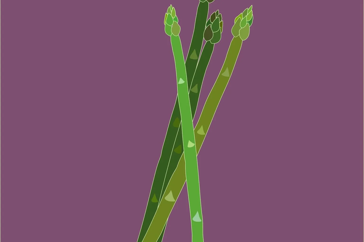 Asparagi verdi
